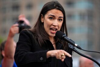 Young progressives look to Zohran Mamdani, AOC as future of the Democratic Party – under one condition