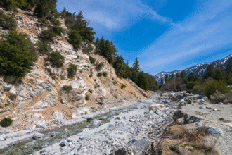 Cries for help lead rescuers to injured hiker after terrifying 25-foot plunge at popular waterfall