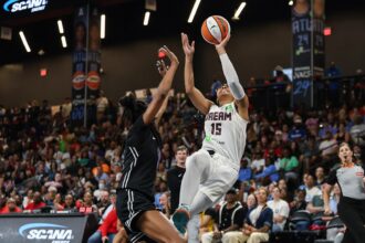 Man charged with disorderly conduct and indecent exposure after WNBA sex toy incident