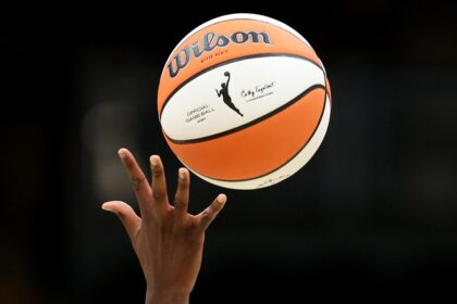 WNBA suggests it’s pursuing criminal charges against fans who throw adult toys onto court during games