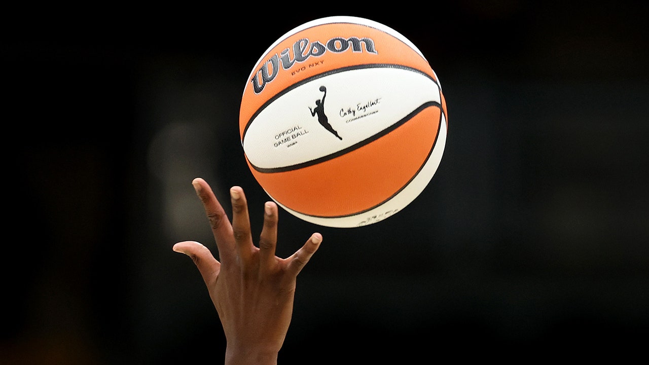 WNBA suggests it’s pursuing criminal charges against fans who throw adult toys onto court during games