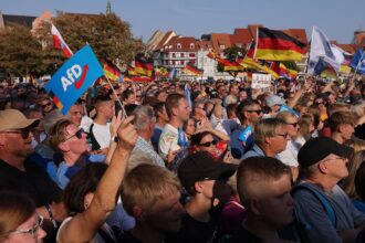 Trump-backed populist party tops polls for first time, following trend in other allied countries