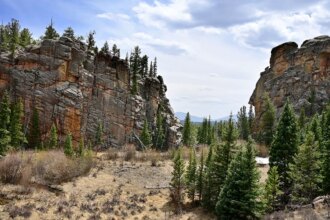 Colorado Parks and Wildlife ranger charged with staging fake stabbing incident that locked down schools