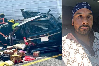 Judge denies bond for illegal immigrant trucker in deadly Florida Turnpike wreck