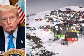 Denmark summons US envoy over alleged covert Greenland interference operations