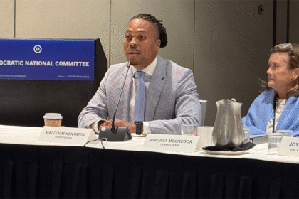 Top DNC official demands Dems be ‘more aggressive,’ compares Trump admin to popular carjacking video game