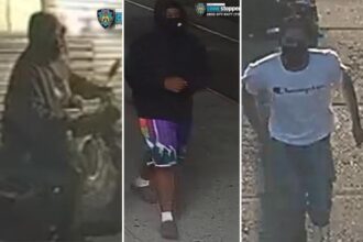 Armed gang terrorizes Queens while swiping mopeds: ‘Just came up and showed me a big knife’