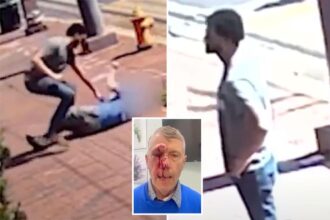 Man caught on video attacking pro-life activists is handed slap-on-the-wrist sentence