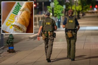 DC man charged with felony assault after hitting federal agent with Subway sandwich