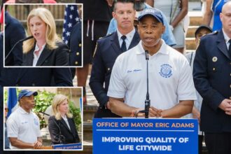 NYPD’s special quality-of-life cops now covering all of Brooklyn: ‘It’s working’