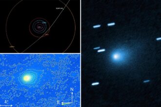 Scientist challenges world leaders over mystery comet he fears could be alien probe — but time is running out