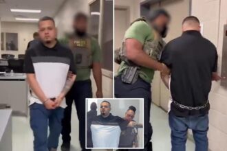 Video of Kilmar Abrego Garcia being detained by ICE goes viral — because of what he utters during arrest