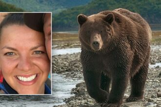 Alaska jogger dragged 100 yards by bear in terrifying predawn attack near driveway