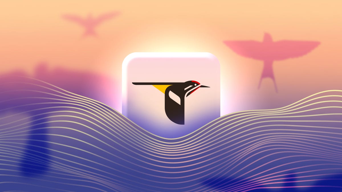 This Bird ID App Has Helped Me Practice Mindfulness More Than Any Meditation App