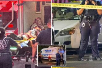 NYPD cops shoot 22-year-old felon who was in gunfight with another, still-at-large suspect