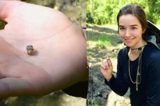 Manhattan woman finds 2.3-carat diamond for engagement ring after three-week quest