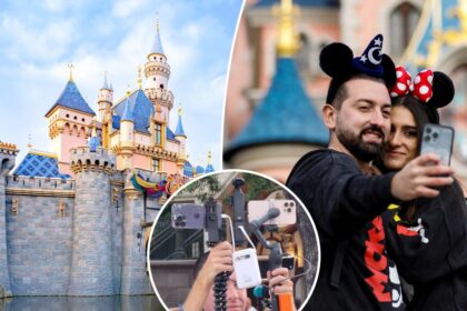 Disney World visitor slammed for ‘incredibly obnoxious’ social media-fueled behavior: ‘Takes the magic out of visiting the parks’