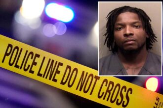 Illinois man allegedly drugged pregnant girlfriend with abortion pills to cause miscarriage