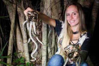 Florida woman wins annual python challenge with record snake haul