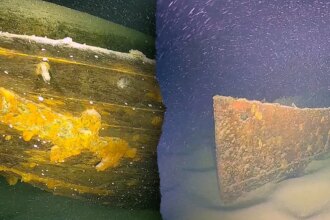 German researchers discover dozens of shipwrecks including possible WWII steamer lost in air raid