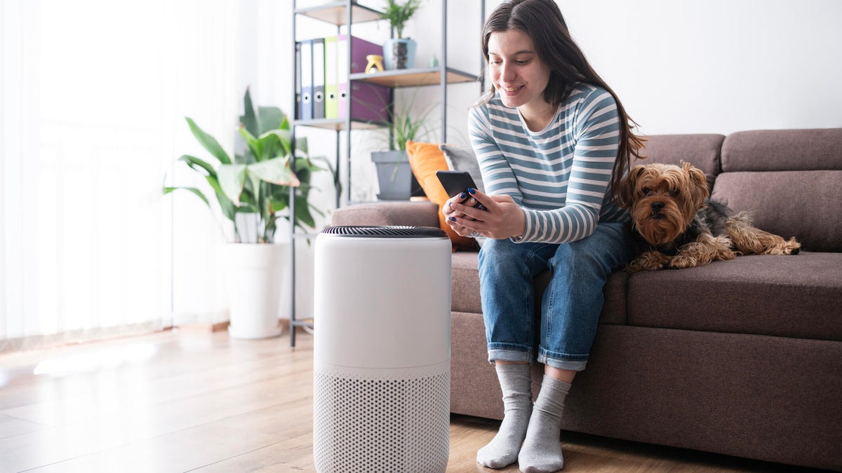 Humidifier vs. Purifier: How to Pick the Right Option for Yourself