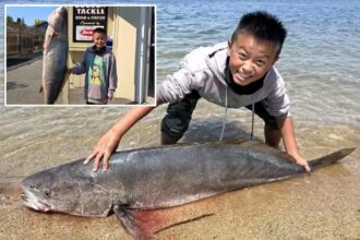 Fin-tastic feat! 13-year-old boy hauls in 64-pound sea bass, could smash world record