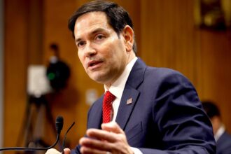 Rubio’s major immigration move praised by conservative experts: ‘Long overdue’