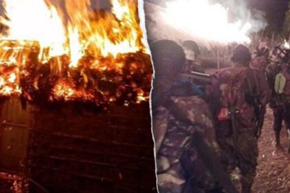 ISIS soldiers behead Christians in Mozambique, burning church and homes: ‘Silent genocide’