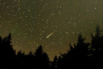 Look to the Sky: Bright Fireballs Appear During the Perseids Meteor Shower