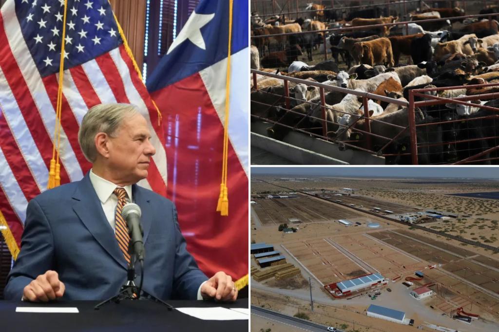 US confirms nation’s first travel-associated human screwworm case connected to Central American outbreak 