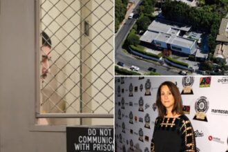 LA junkie charged with killing ‘American Idol’ exec Robin Kaye  and her husband will undergo mental evaluation