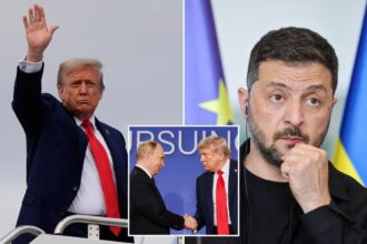 Zelensky says he’ll meet Trump in DC on Monday to discuss ‘all details regarding ending the killing and the war’