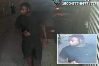 Sicko arrested for choking and attempting to rape 21-year-old woman in Times Square — and suspect had 6 prior arrests
