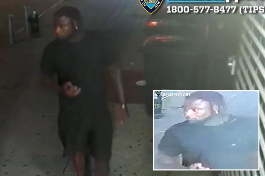 Sicko arrested for choking and attempting to rape 21-year-old woman in Times Square — and suspect had 6 prior arrests