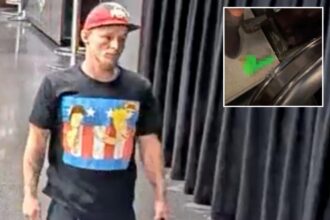 NYC man wearing Beavis and Butthead T-shirt wanted for throwing sex toy at Liberty game: NYPD
