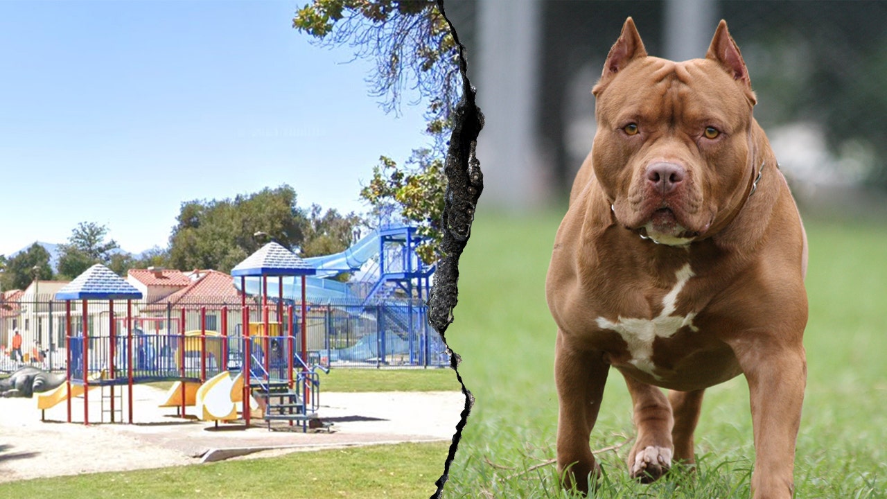 Woman killed and another severely injured after dog mauling at Southern California park