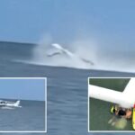 Heart-stopping video shows small plane crash into ocean and flip over — as rescuers race to save pilot’s life