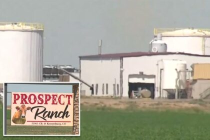 6 people dead in freak ‘dairy accident’ at Colorado farm