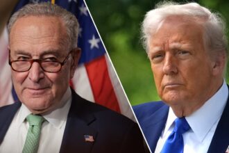 Trump blasts Schumer, Democrats as ‘country-hating thugs’ amid blockade on Senate nominees