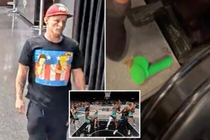 Ohio man busted for slinging sex toy on court at NY Liberty game, charged with two counts of assault
