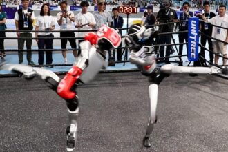 First World Humanoid Robot Games: Highlights and Fails