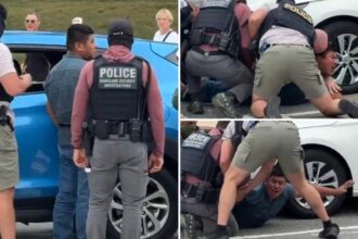 Screaming man who tried to run from federal officers in DC in viral video was previously arrested for child sex crimes and entered US illegally 3 times
