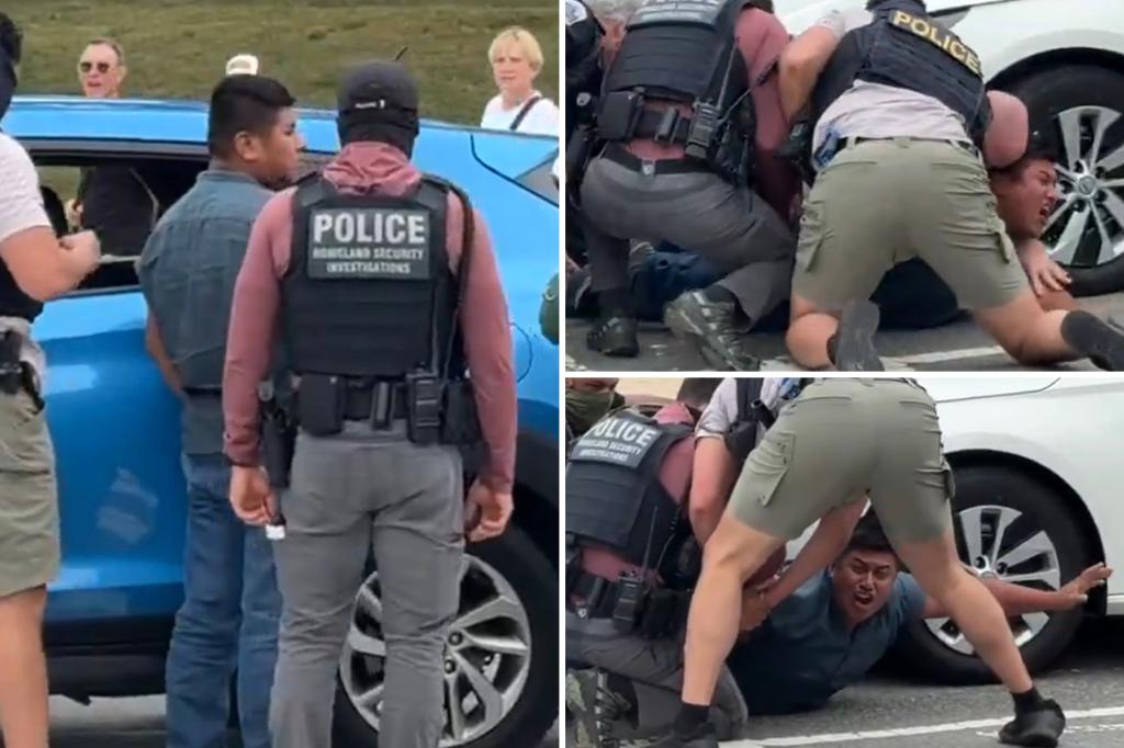 Screaming man who tried to run from federal officers in DC in viral video was previously arrested for child sex crimes and entered US illegally 3 times