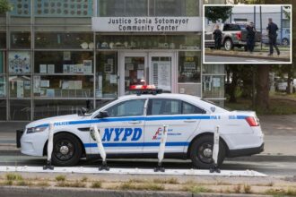 Man shot in neck as bullets fly in front of Bronx community center in latest violent episode