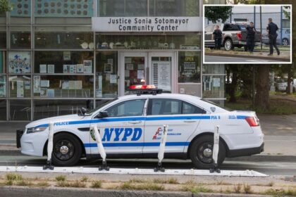 Man shot in neck as bullets fly in front of Bronx community center in latest violent episode