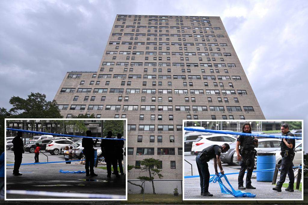 Man shot in both legs in broad daylight Brooklyn attack