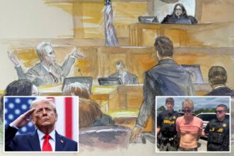 Judge cuts off would-be Trump assassin’s bizarre opening statement, warns him against making ‘mockery’ of court