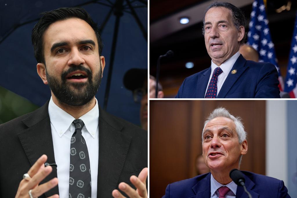 Zohran Mamdani draws praise, FDR comparison from Jamie Raskin as top NY Dems still withhold endorsements in NYC mayoral race