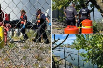Body of man in his 30s, still wearing month-old hospital bracelet, found floating in NYC waterway: cops, sources