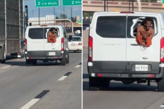 Shirtless inmate hangs out back of corrections van speeding down Oklahoma freeway, while pleading for help: insane video